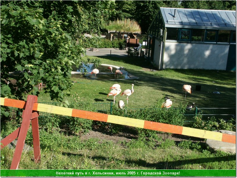 hel_zoo_11.JPG