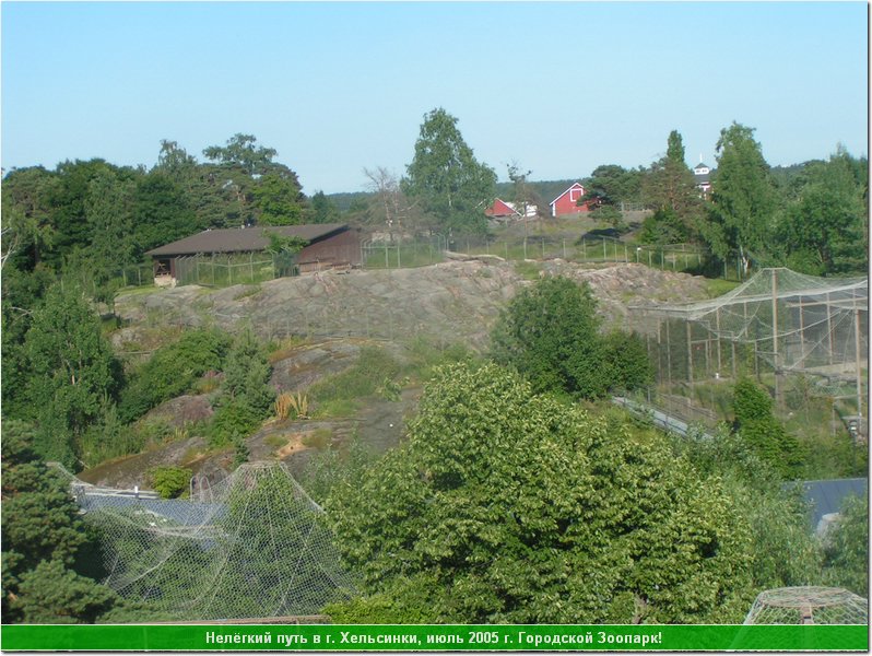 hel_zoo_26.JPG