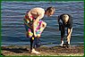 camp8802_l.jpg