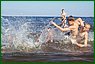 camp8833_l.jpg