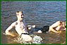 camp8839_l.jpg