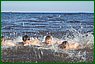 camp8844_l.jpg