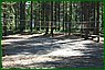 camp_03l.jpg