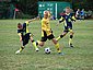 hel_06_067.JPG