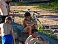 hel_zoo_08.JPG
