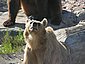 hel_zoo_18.JPG