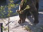 hel_zoo_19.JPG
