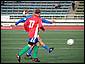 vet_09_07_040.JPG